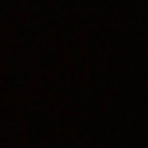 Meet your Posher, Abbie